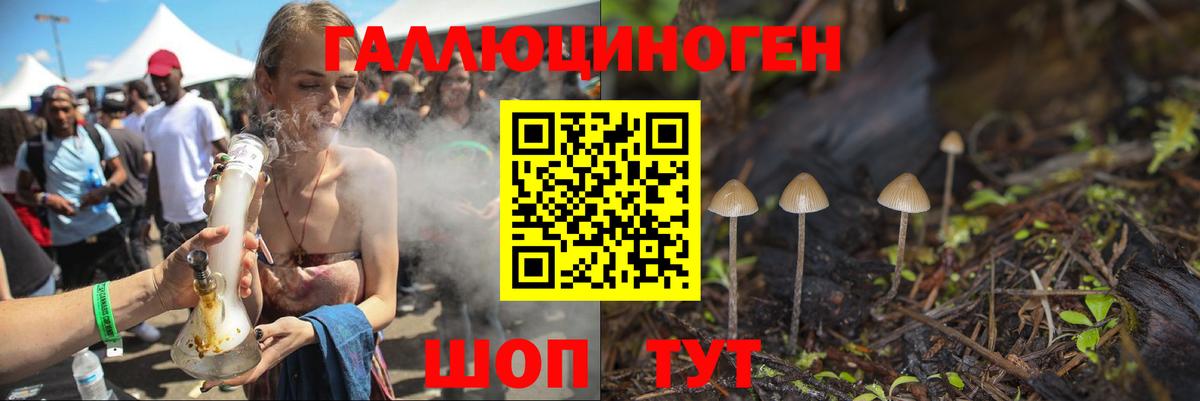 Галлюциногенные грибы Psilocybine cubensis Узловая