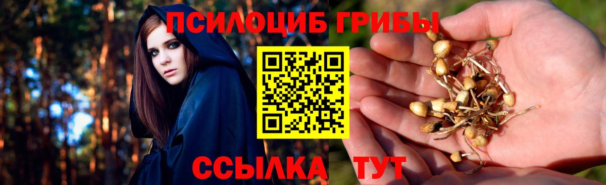 цена   Галлюциногенные грибы Psilocybe  Вход с VPN  Псилоцибиновые грибы прущие грибы  Узловая 